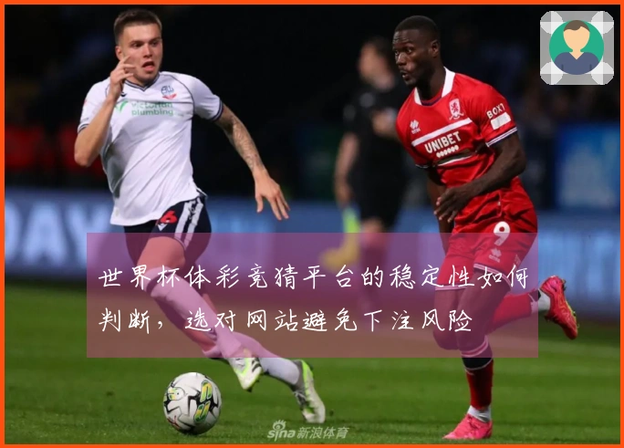 世界杯体彩竞猜平台的稳定性如何判断，选对网站避免下注风险