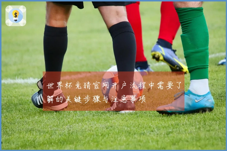 世界杯竞猜官网开户流程中需要了解的关键步骤与注意事项