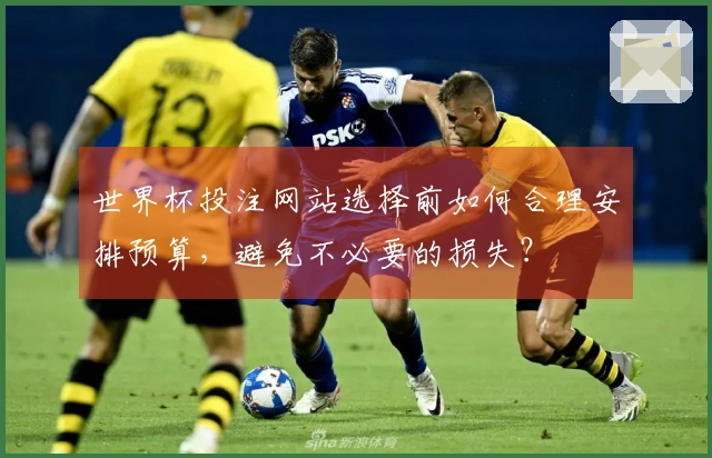世界杯投注网站选择前如何合理安排预算，避免不必要的损失？