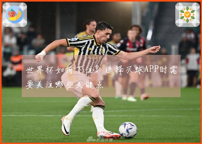世界杯如何下注？选择买球APP时需要关注哪些关键点