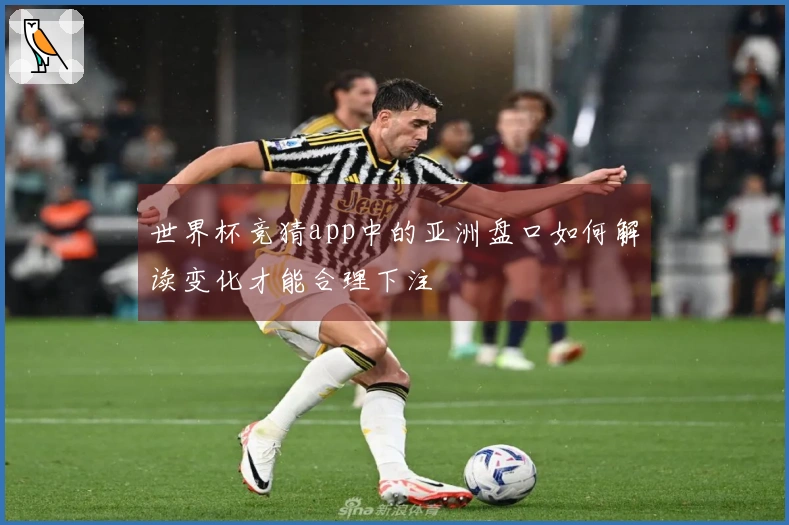 世界杯竞猜app中的亚洲盘口如何解读变化才能合理下注