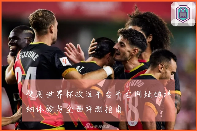 使用世界杯投注平台平台网址的详细体验与全面评测指南
