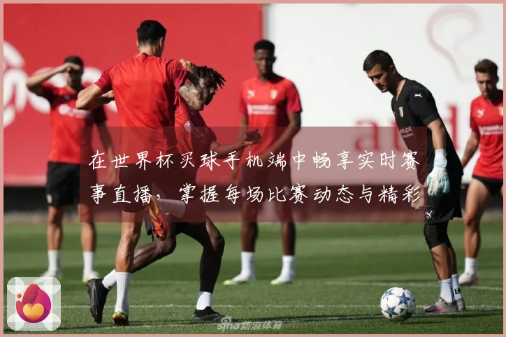 在世界杯买球手机端中畅享实时赛事直播，掌握每场比赛动态与精彩瞬间