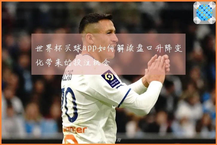 世界杯买球app如何解读盘口升降变化带来的投注机会