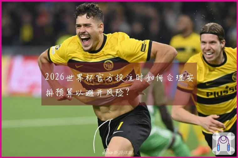 2026世界杯官方投注时如何合理安排预算以避开风险？