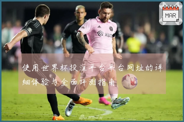 使用世界杯投注平台平台网址的详细体验与全面评测指南