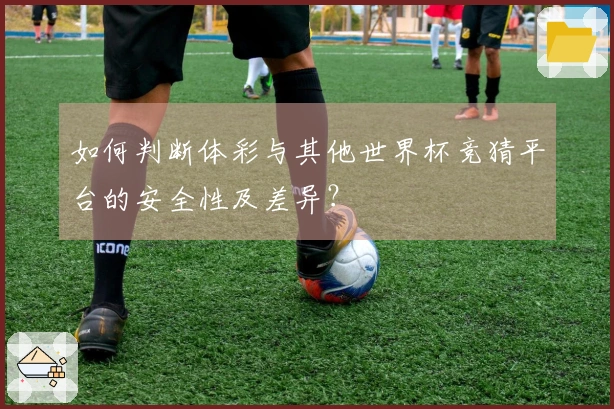 如何判断体彩与其他世界杯竞猜平台的安全性及差异？