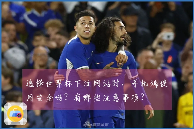 选择世界杯下注网站时，手机端使用安全吗？有哪些注意事项？