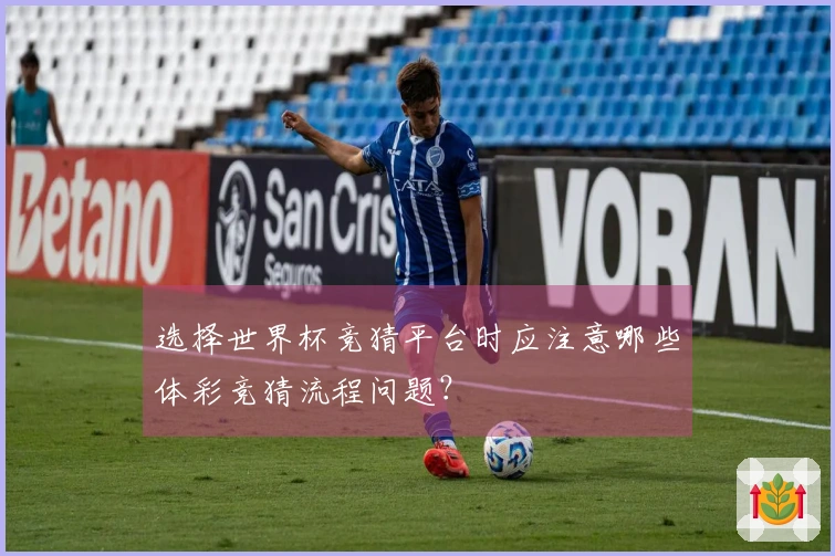 选择世界杯竞猜平台时应注意哪些体彩竞猜流程问题？