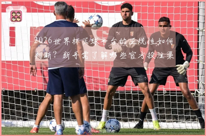 2026世界杯买球平台的正规性如何判断？新手需了解哪些官方投注渠道？