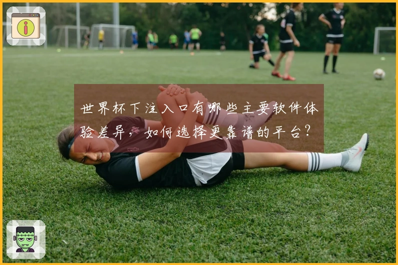 世界杯下注入口有哪些主要软件体验差异，如何选择更靠谱的平台？