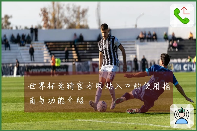 世界杯竞猜官方网站入口的使用指南与功能介绍