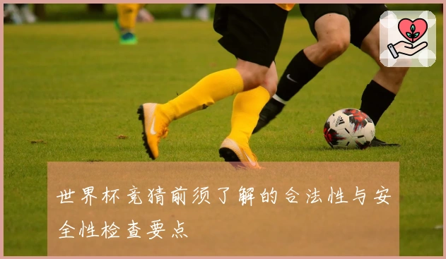 世界杯竞猜前须了解的合法性与安全性检查要点