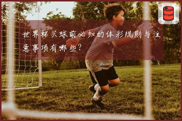世界杯买球前必知的体彩规则与注意事项有哪些？