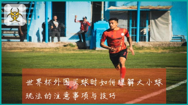 世界杯外围买球时如何理解大小球玩法的注意事项与技巧