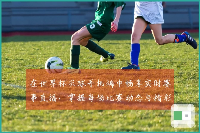 在世界杯买球手机端中畅享实时赛事直播,掌握每场比赛动态与精彩瞬间