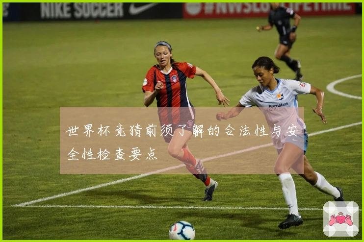世界杯竞猜前须了解的合法性与安全性检查要点